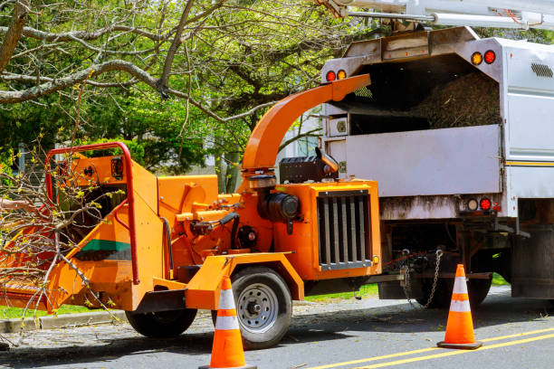 Best Utility Line Clearance  in Elizabethtown, NC